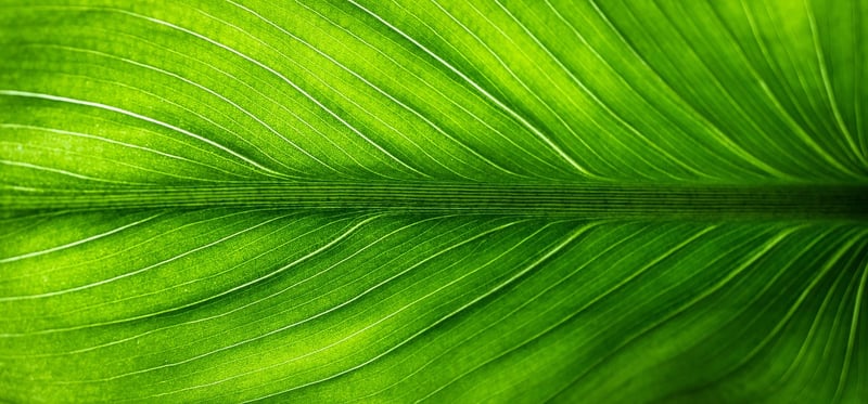 Personalized eco-friendly presents