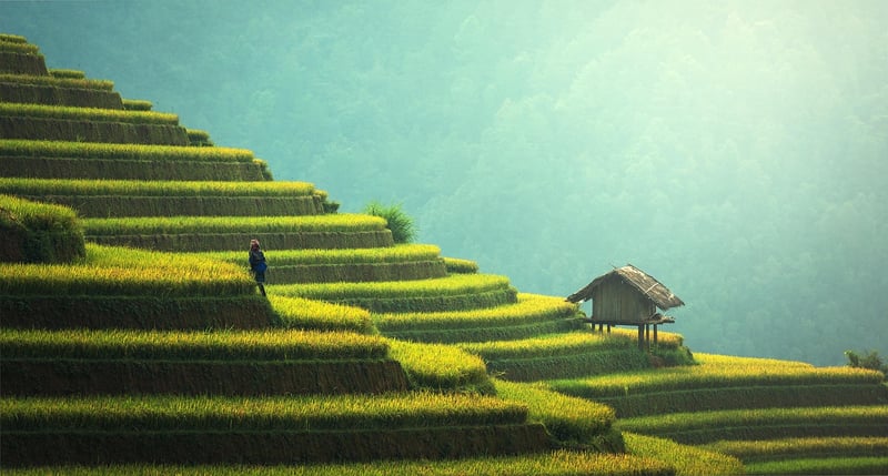 Unique sustainable gifting